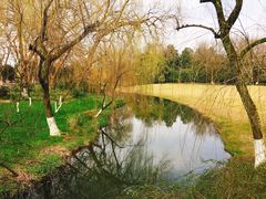 -柳浪闻莺公园
