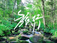 -汤旺河林海奇石景区
