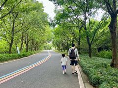 -同里国家湿地公园