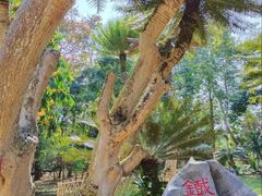 -中国科学院西双版纳热带植物园