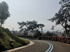 -飞凤山奥体公园