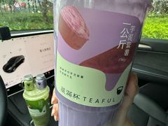 -星满杯TEAFUL(罗湖东门店)