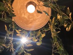 -胡桃里音乐酒馆(万科城市广场店)