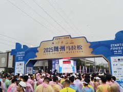 -随州碧桂园凤悦凤凰酒店