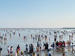 -碧海金沙