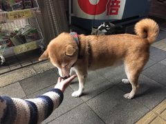 -みかわ是山居