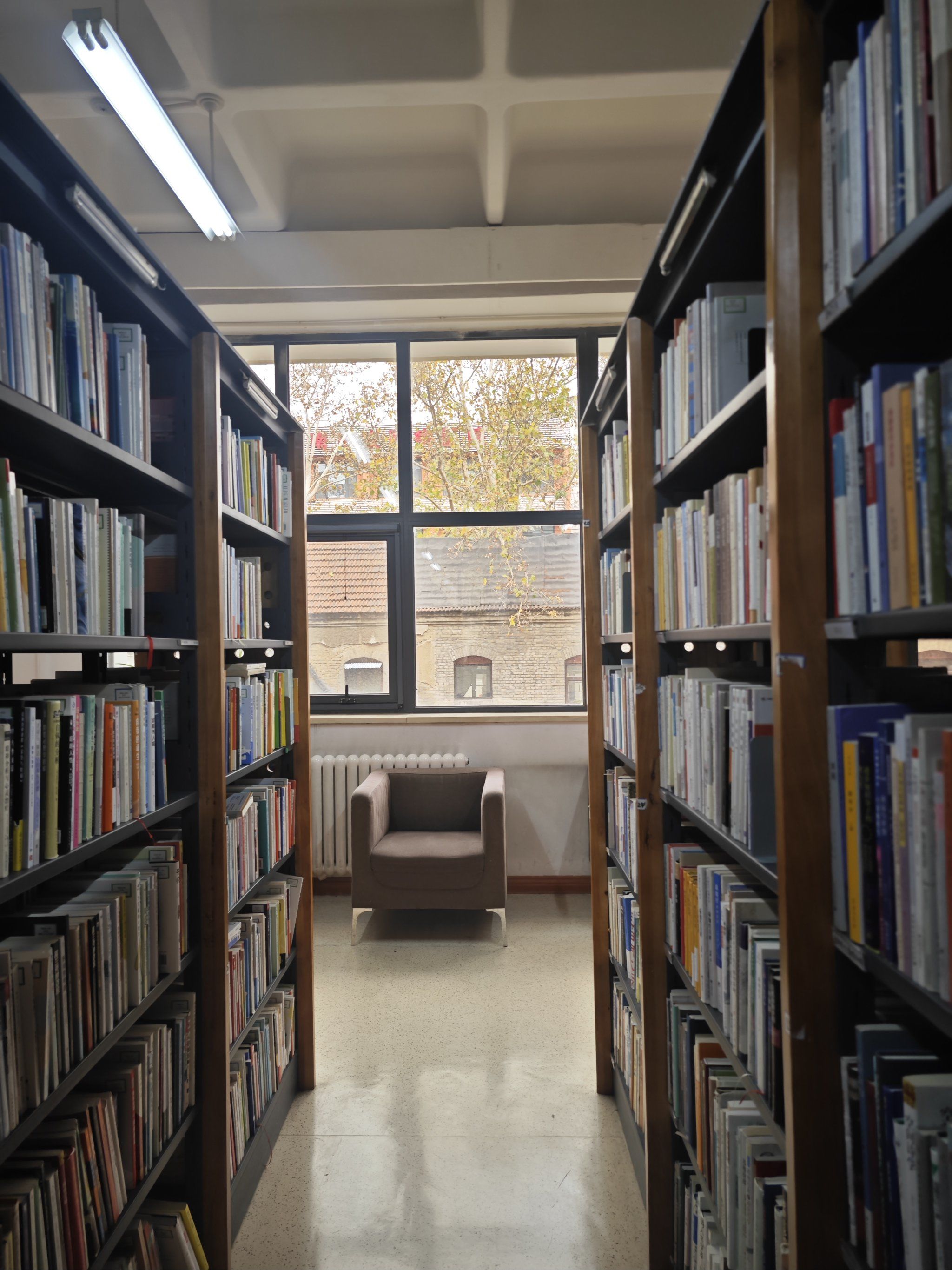 图书馆里的阅读时光