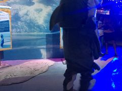 -暹罗海洋世界