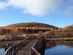 iphone_upload_pic-塞罕坝国家级自然保护区