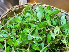-岳记兴隆·青城腊排铜火锅(融创店)