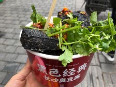 -黑色经典臭豆腐·湖南特产(坡子街店)