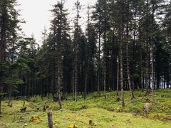 -硗碛藏寨·神木垒景区