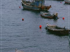 -海源公园