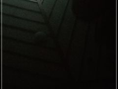 -飞虹鱼馆(春华路店)