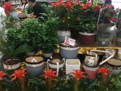 -大润发(勤业店)