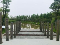 -春花秋色城市公园