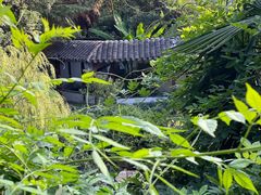 -水绘园
