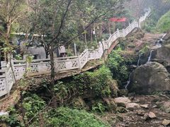 -南山植物园