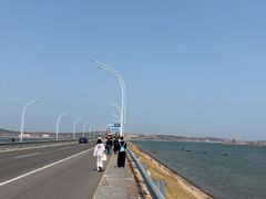 -养马岛旅游度假区