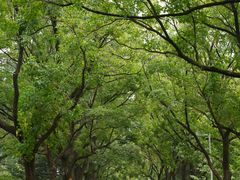 -白塘生态植物园