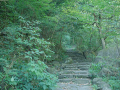 -湖州龙王山景区