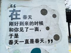 -枫桥景区