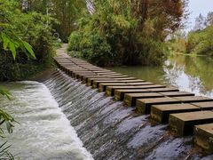 -桤木河湿地公园