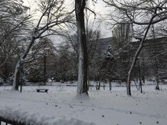 -北海道厅旧本厅舍(旧本庁舎)