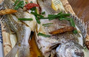 Sea Fish