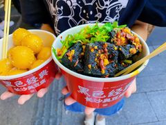 -黑色经典臭豆腐·湖南特产(步行街店)