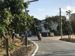 -光明小镇欢乐田园