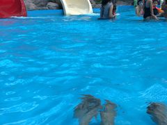 -青岛东方影都融创水世界