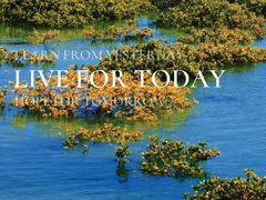 -北海金海湾红树林生态旅游区