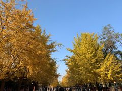 -辽宁大学(崇山校区)
