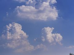 -海汕记·潮汕鲜牛肉火锅·自助
