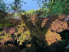 -敬亭山风景名胜区
