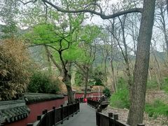 -青岛崂山太清宫