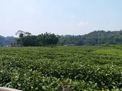 -亚婆田·白水寨生态旅游度假区