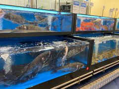 -盒马X会员店(王府井奥莱UP TOWN店)