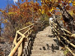 -天女山森林公园