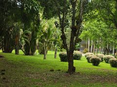 -中国科学院西双版纳热带植物园