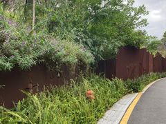 -飞凤山奥体公园