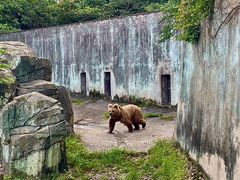 -宁波野生动物园