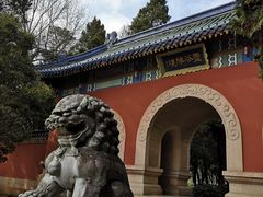 -灵谷景区