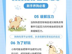 -lincat·猫舍(广州店)