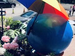 -花与咖啡馆(金星楼店)