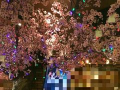-波波's蛋糕店(于洪广场店)