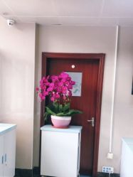 -深圳市妇幼保健院(红荔院区)