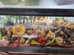 -野菌王•养生汤锅•野生菌火锅(大理漾濞路店)