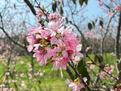 -南宁良凤江国家森林公园